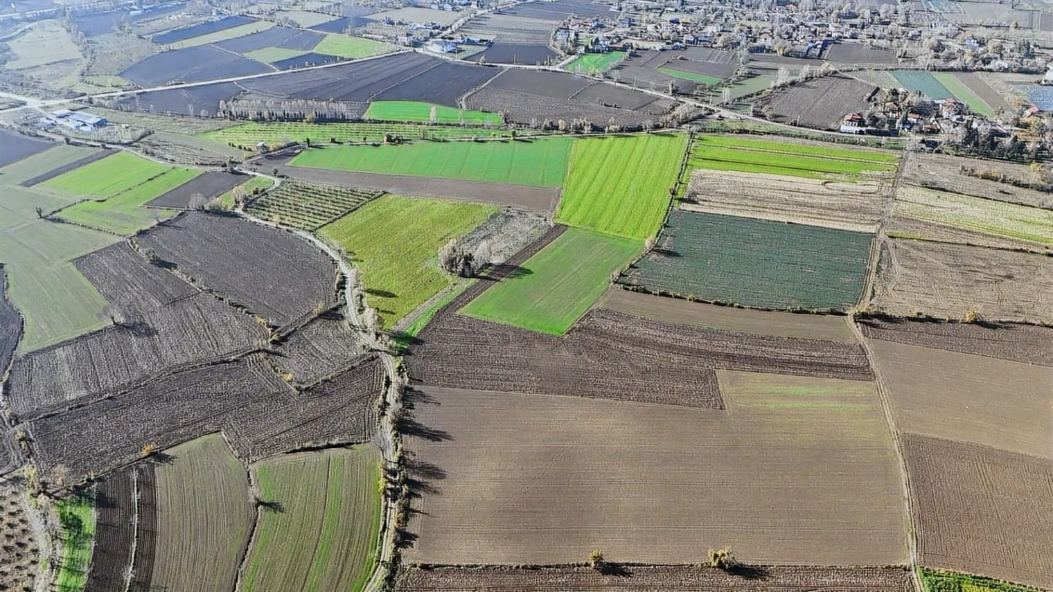 ERENLER SARICALAR MAH. RESMİ YOL ÜZERİ SATILIK 5000 M2 TARLA