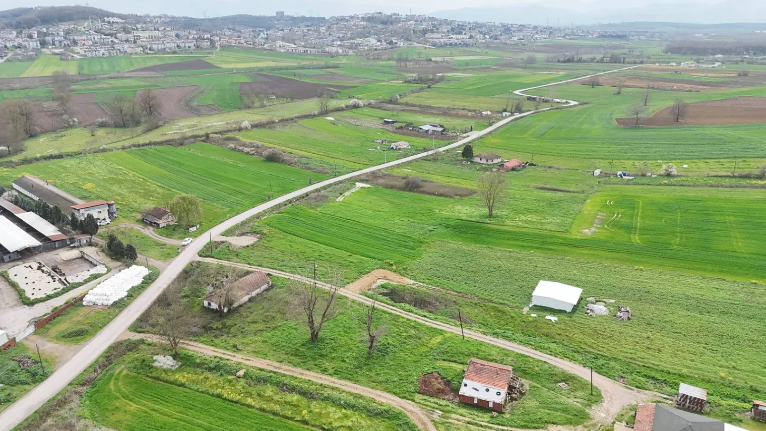 Fotoğraf 13