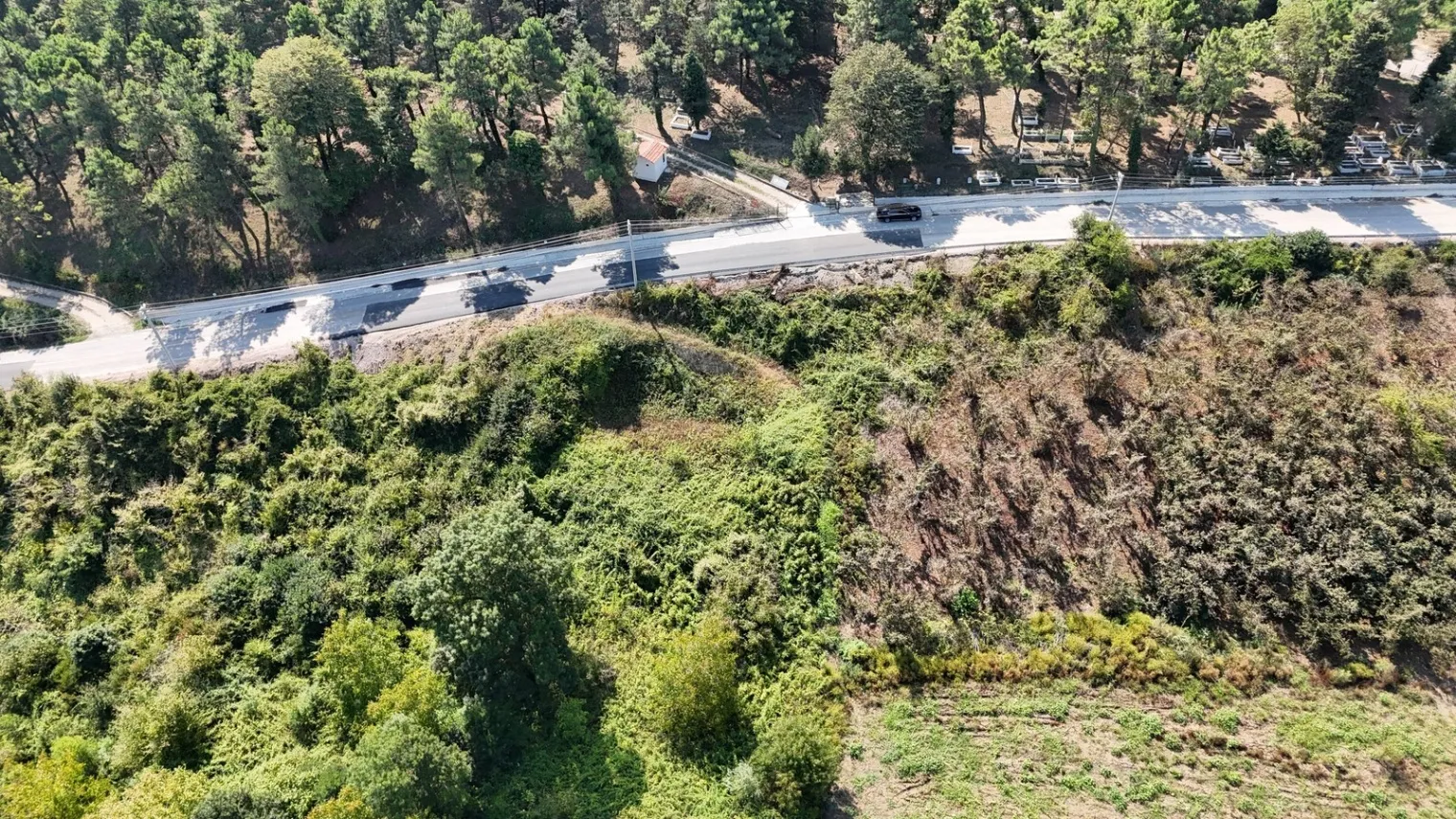 Fotoğraf 12