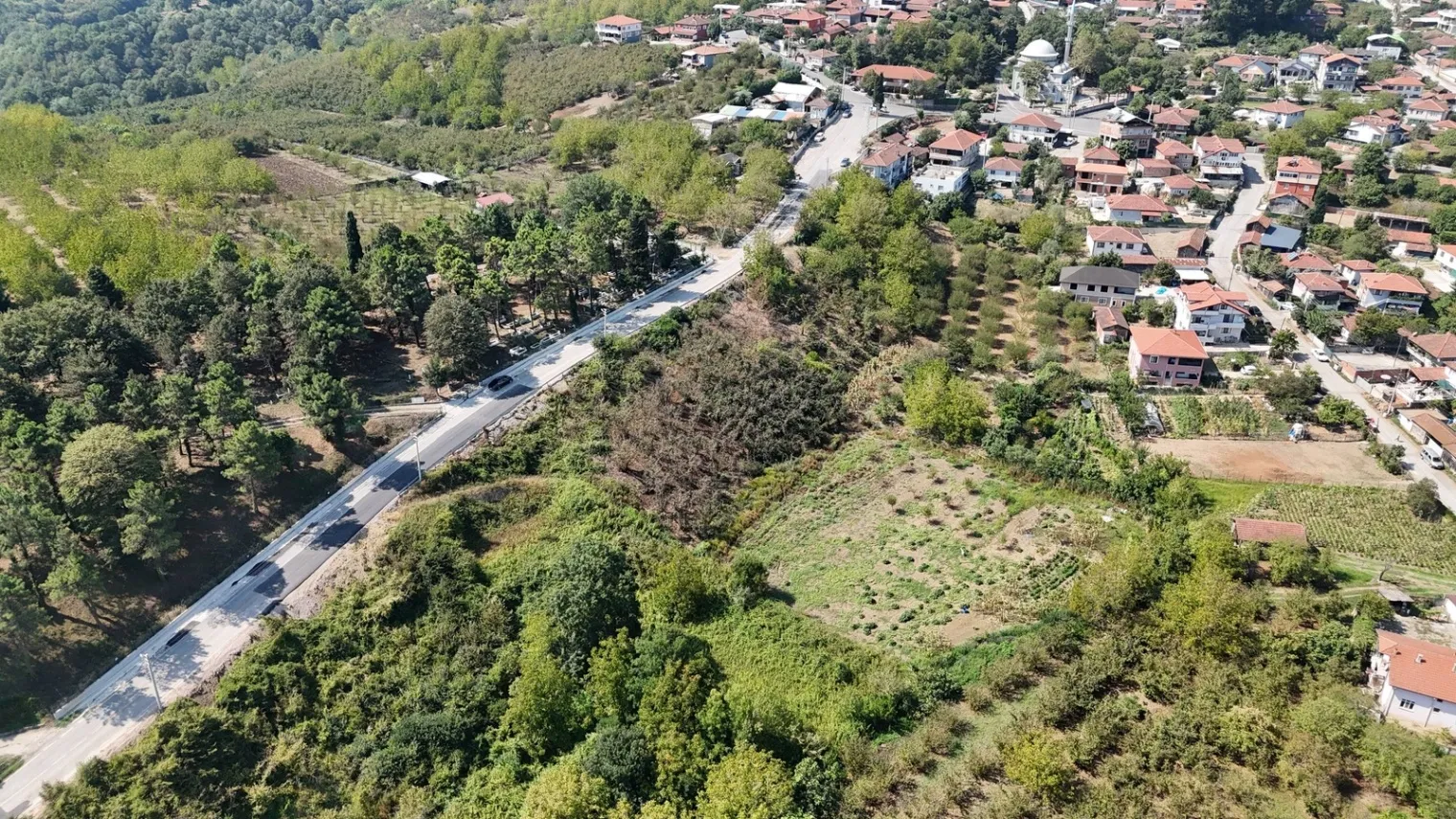 Fotoğraf 13