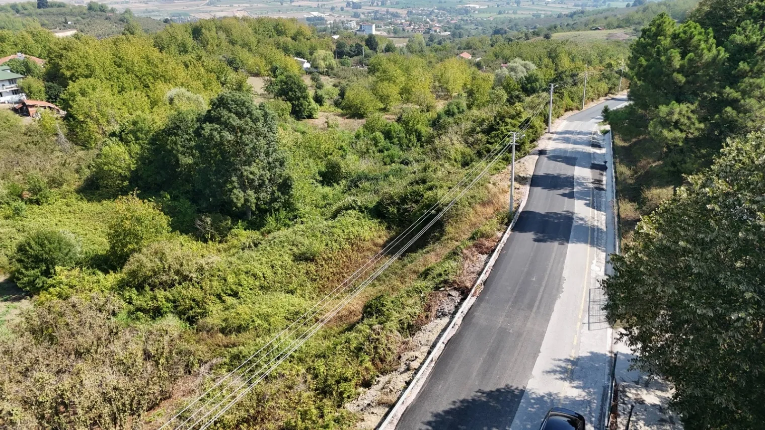 Fotoğraf 14