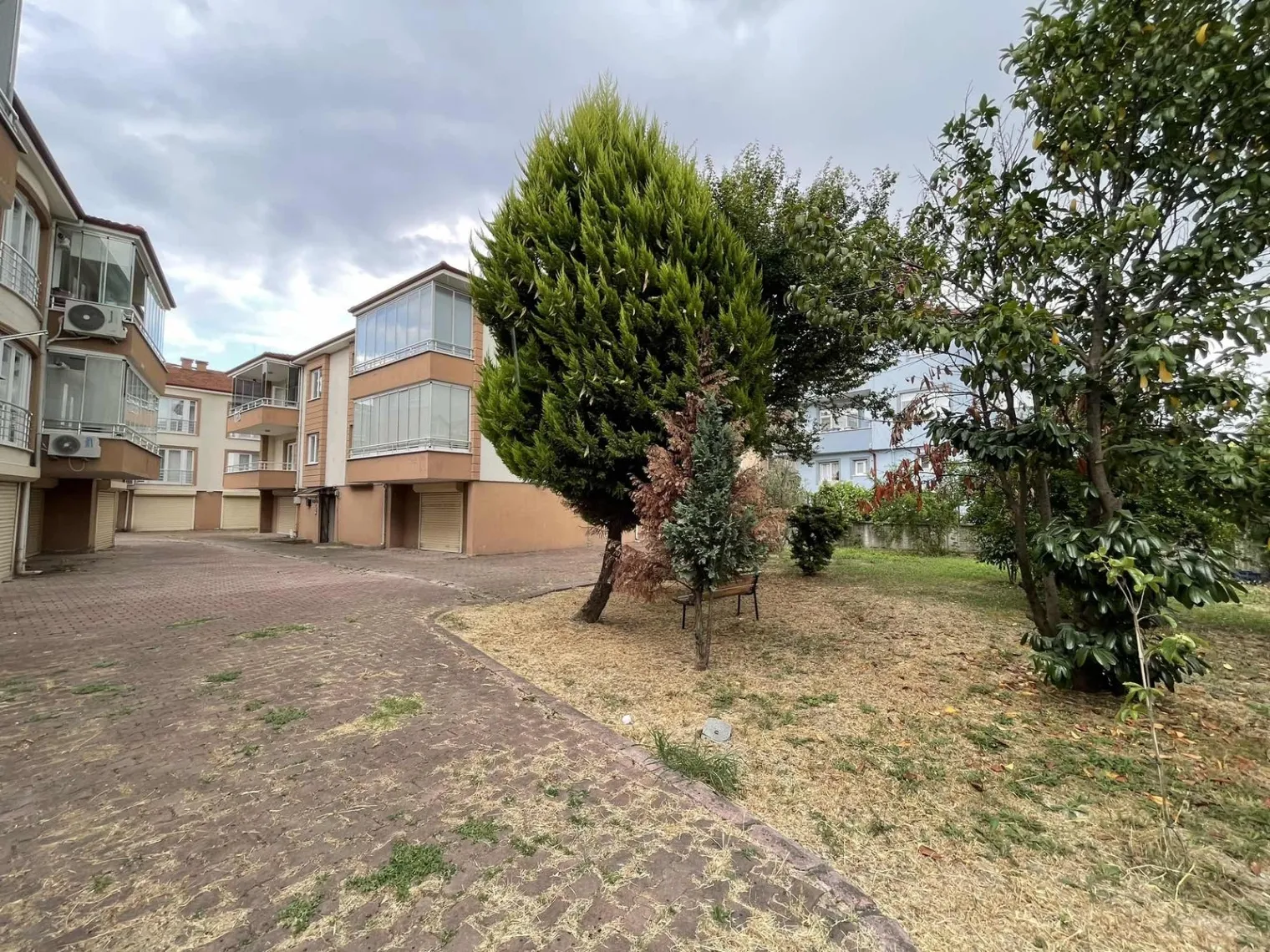 Fotoğraf 24