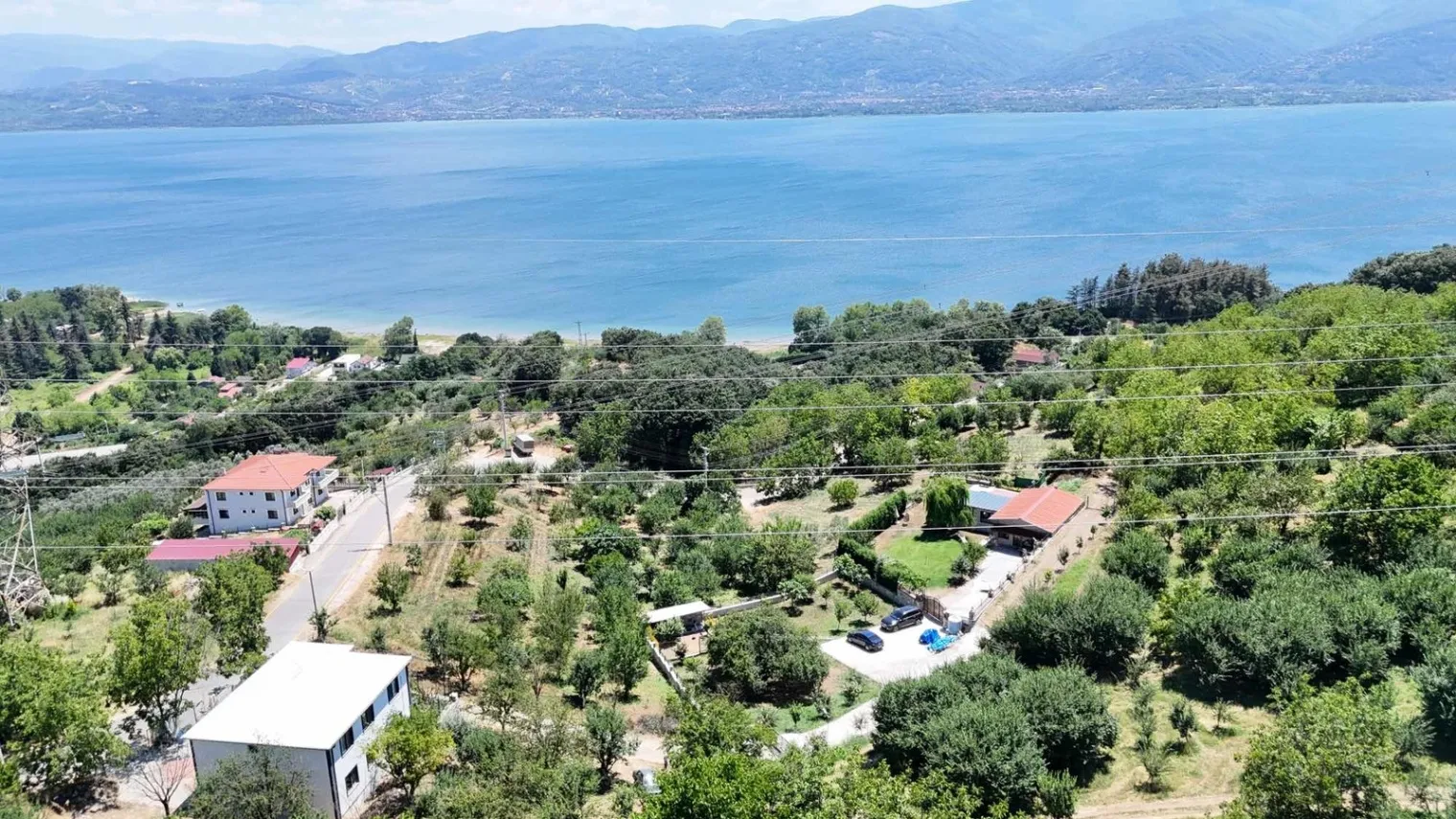 Fotoğraf 19