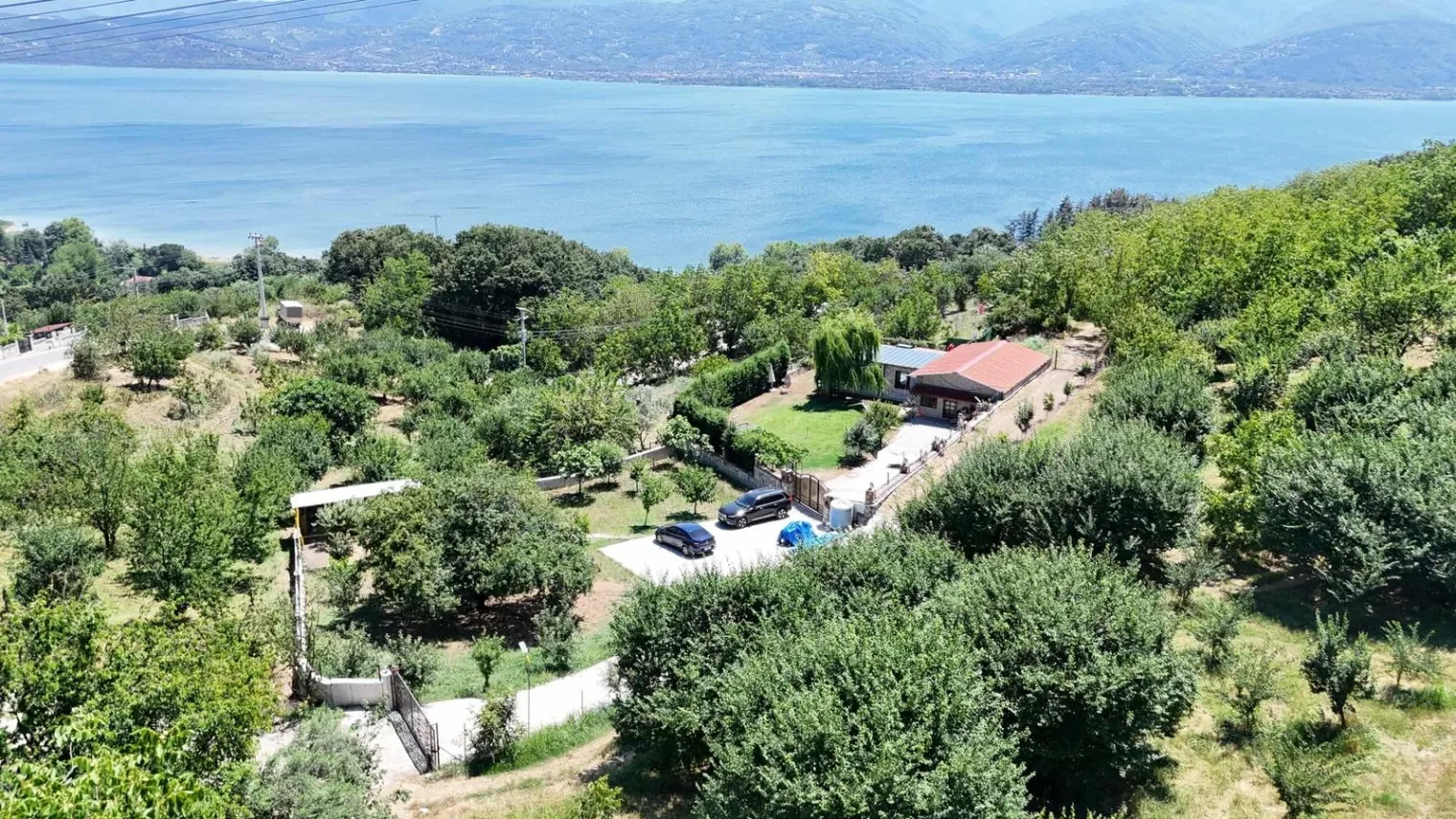 Fotoğraf 23