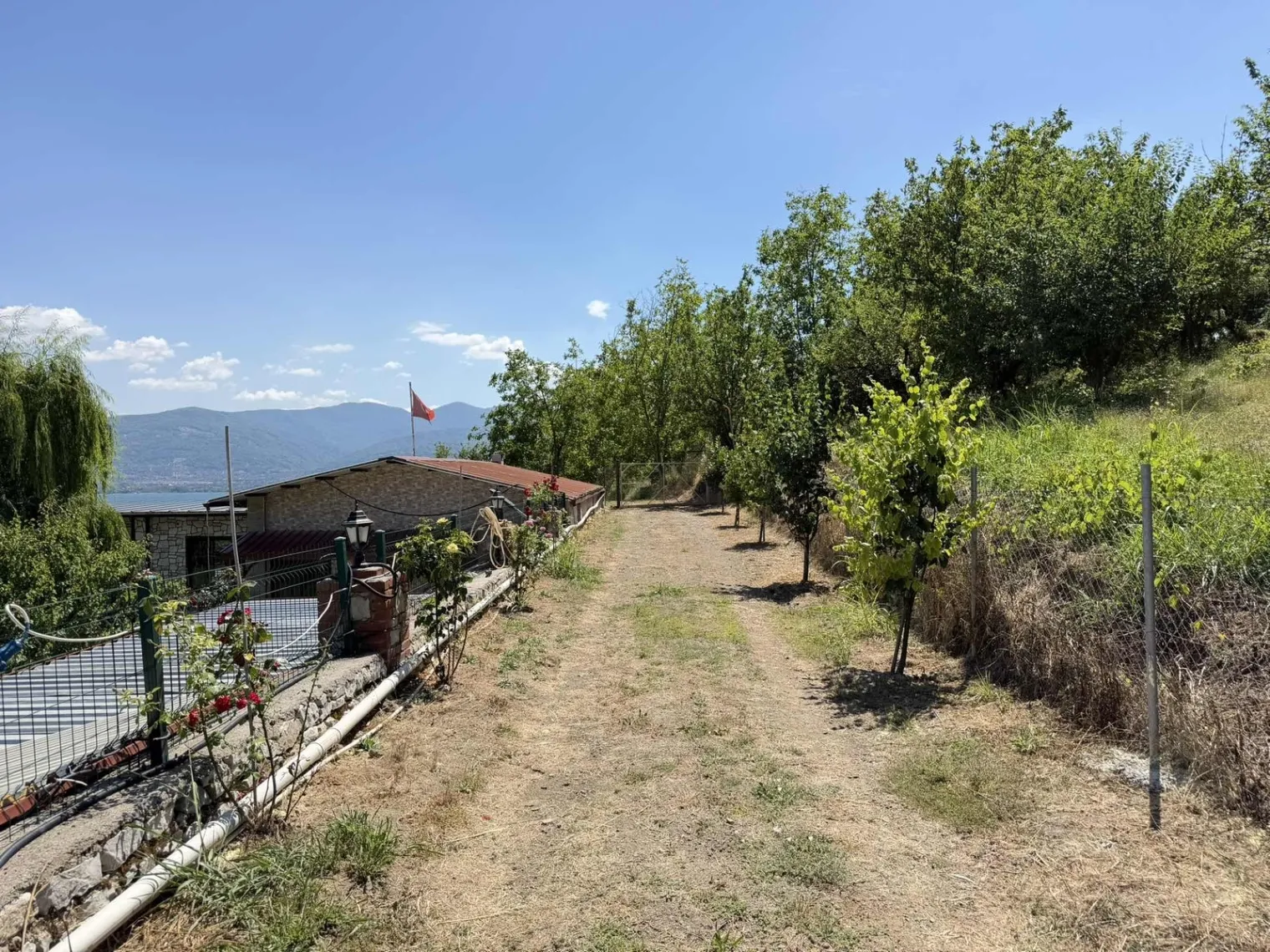 Fotoğraf 30