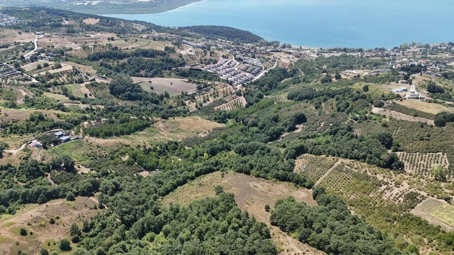Fotoğraf 12