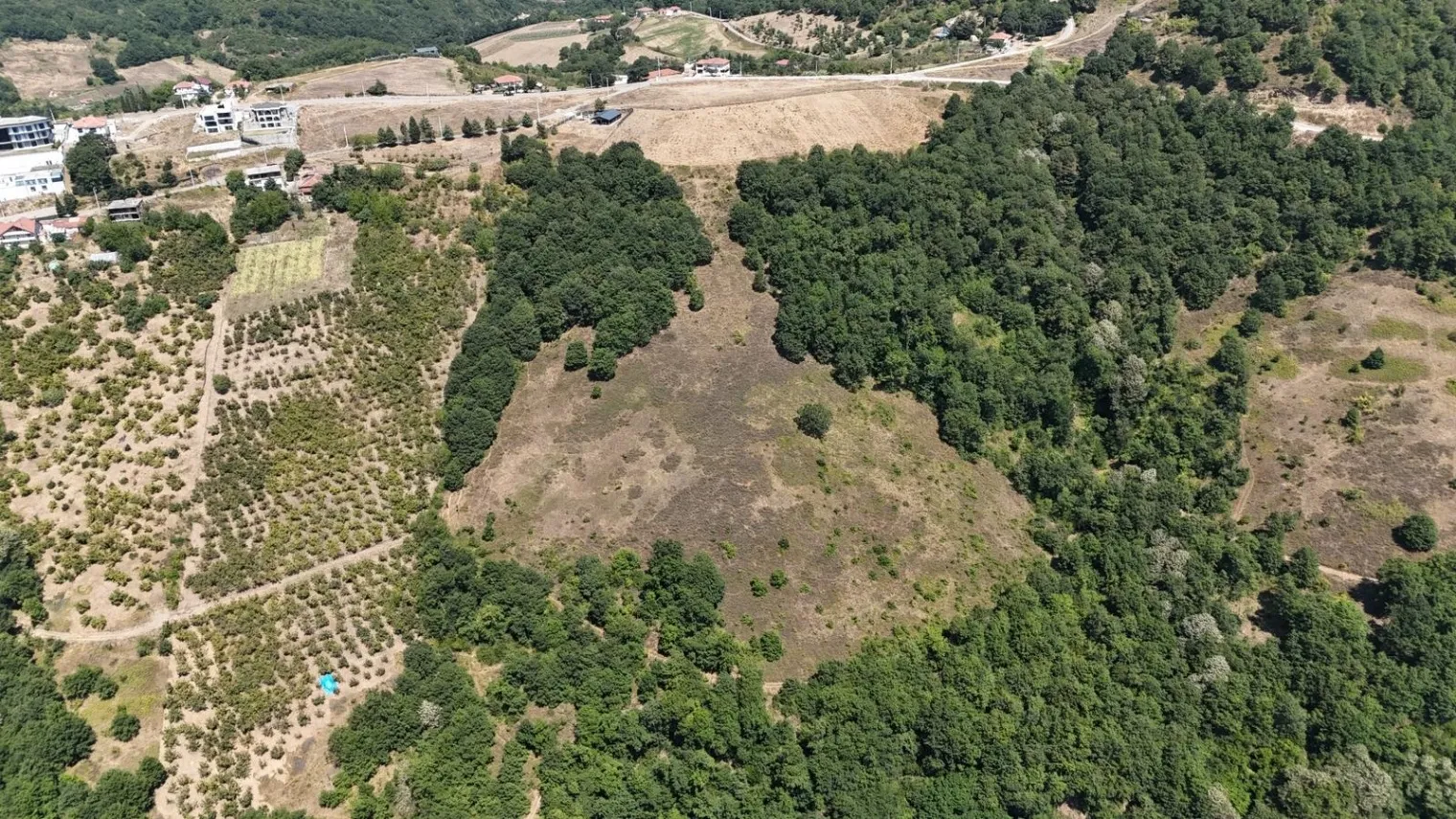 Fotoğraf 13