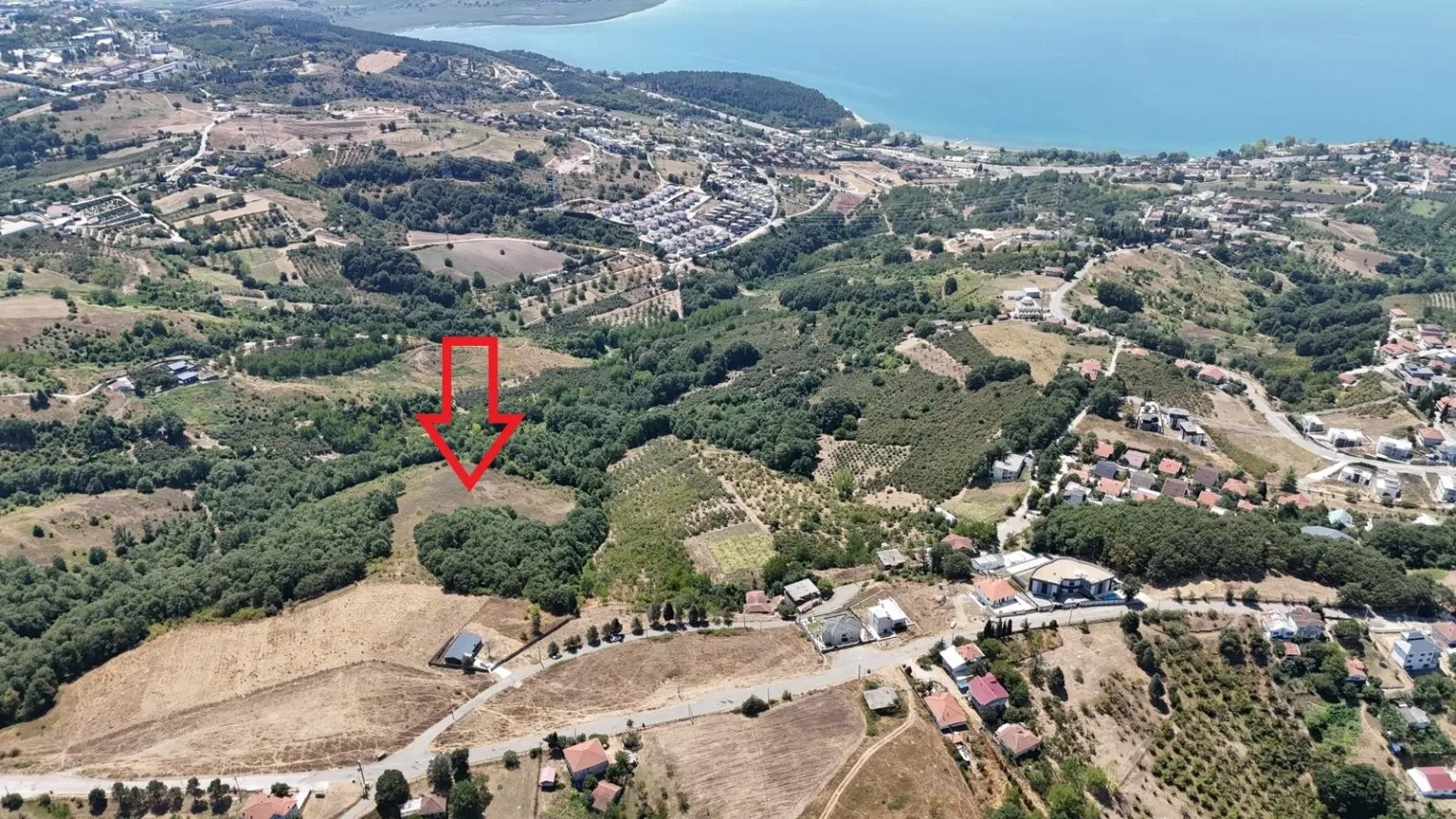 Fotoğraf 15