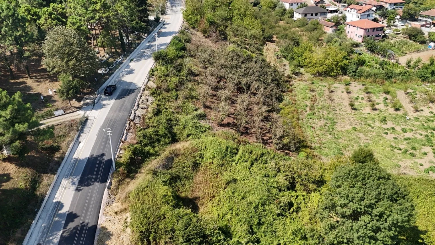 Fotoğraf 12