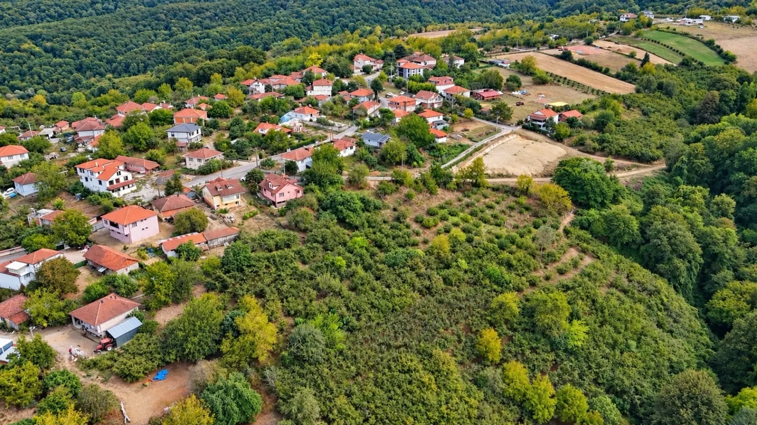 Fotoğraf 13