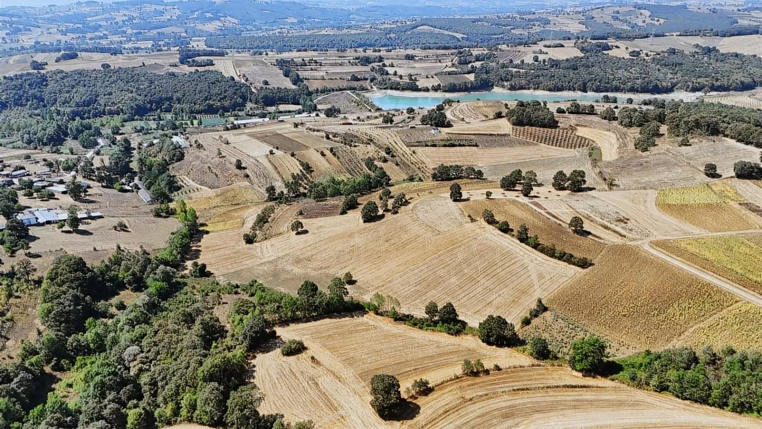 Fotoğraf 12