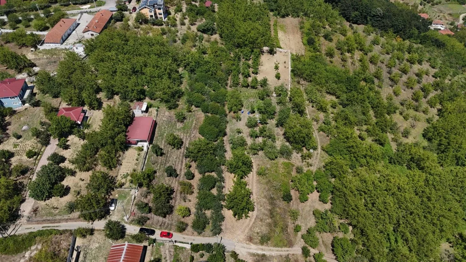 Fotoğraf 12