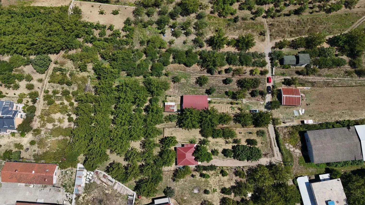 Fotoğraf 13