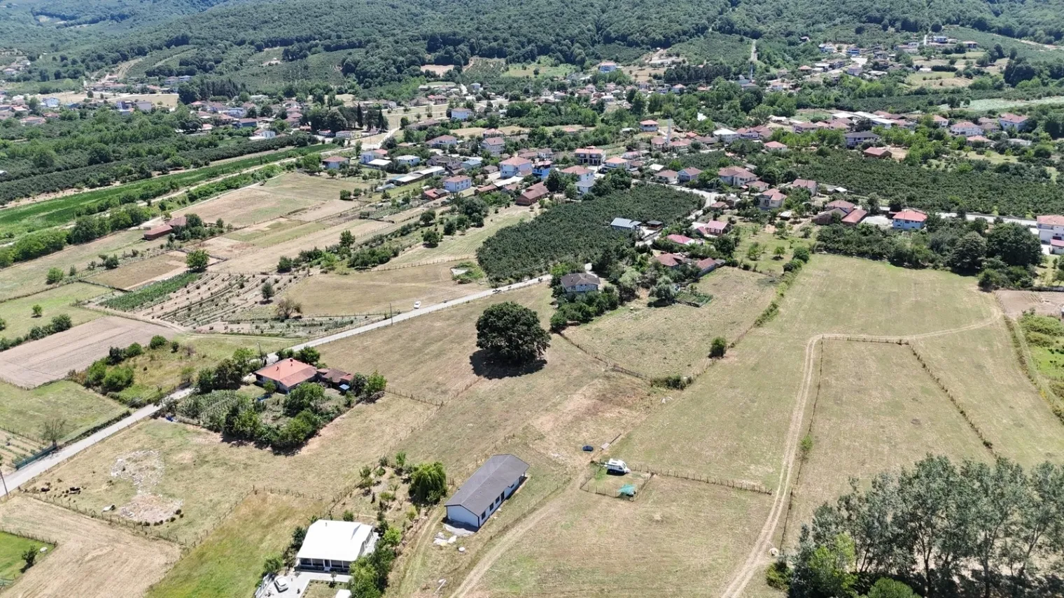 Fotoğraf 12
