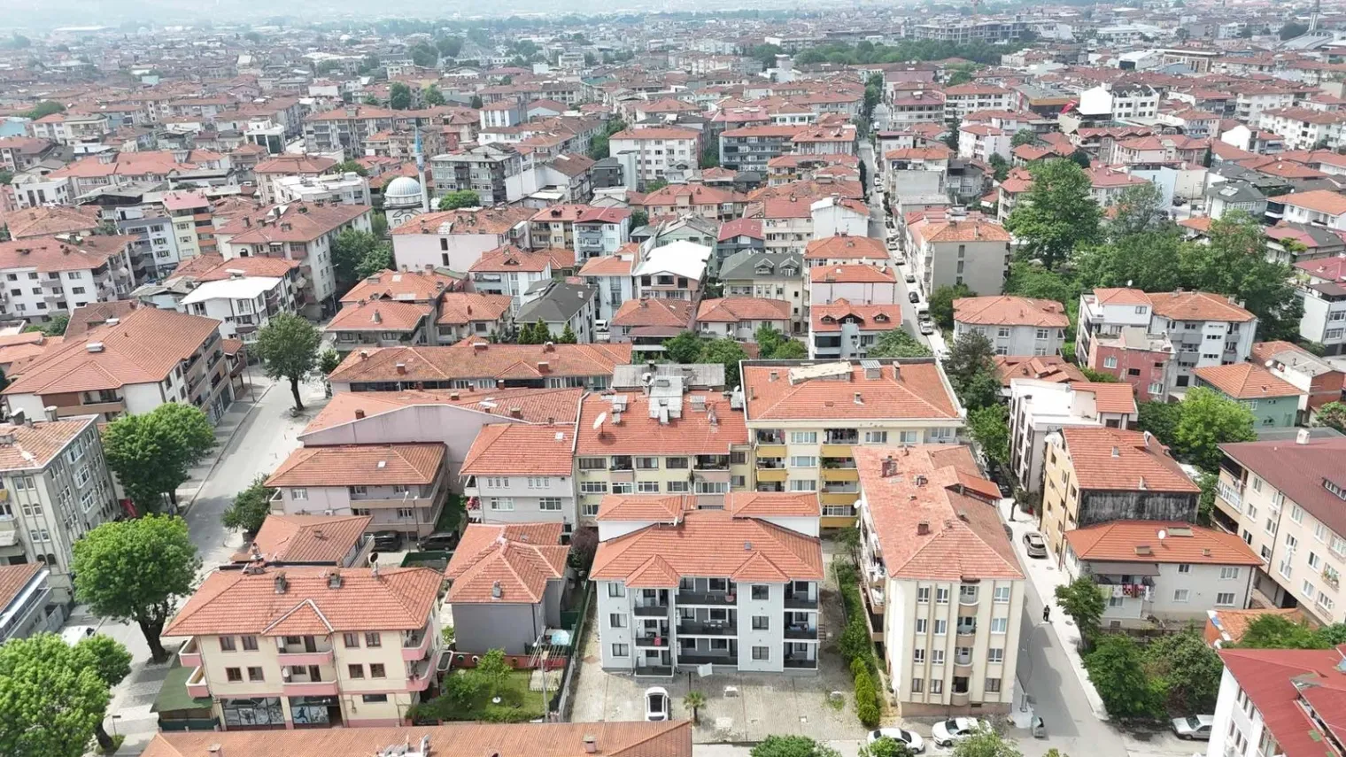 Fotoğraf 13