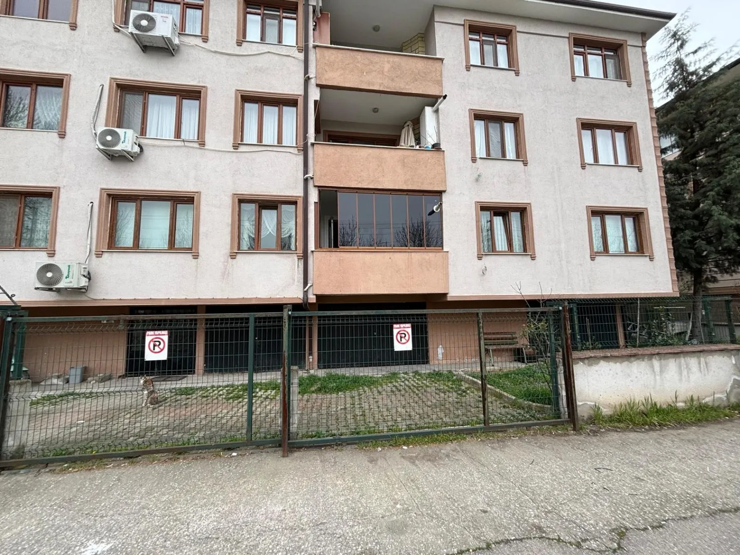 Fotoğraf 15