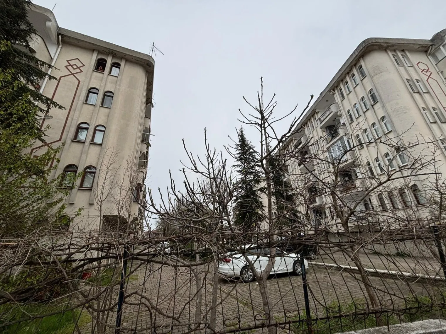 Fotoğraf 22